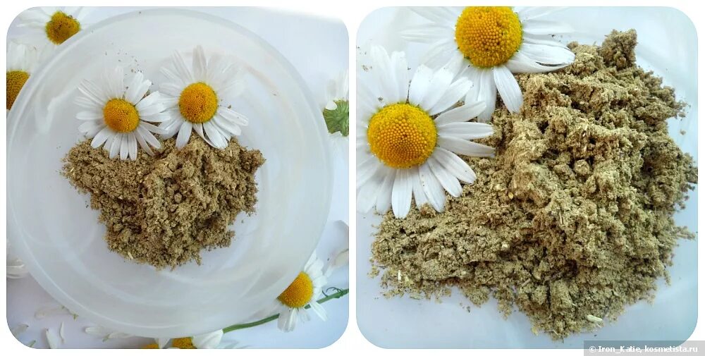 Порошок из соцветий ромашки 8. Пиретрум щитконосный. Цветки ромашки лрс. Порошок из соцветий ромашки 8. Сухая ромашка.