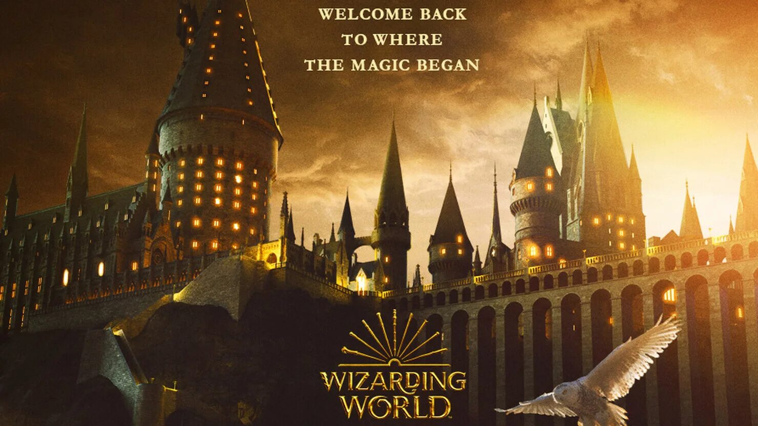 Harry potter return to hogwarts