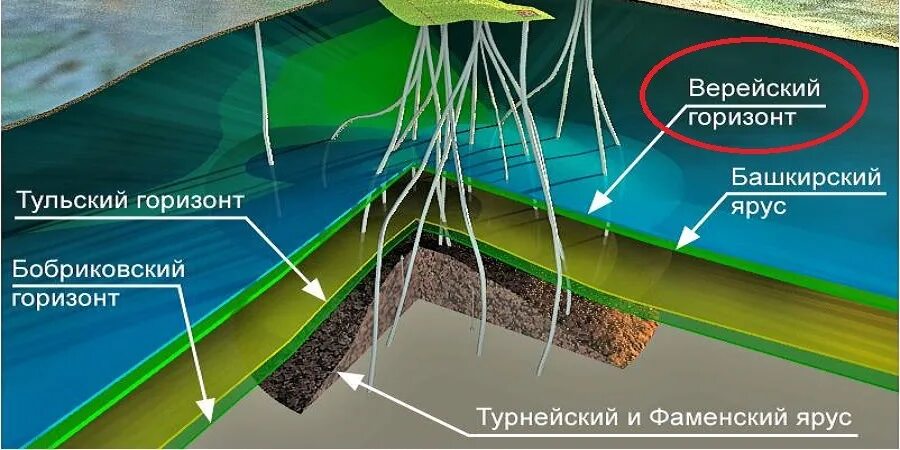 Верейский Горизонт. Верейский Горизонт стратиграфия. Верейский Горизонт Татарстан. Горизонт в месторождение.