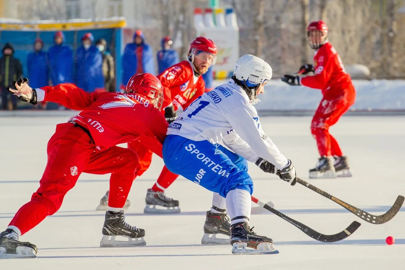 Хоккей с мячом чемпионат россии матчи сегодня