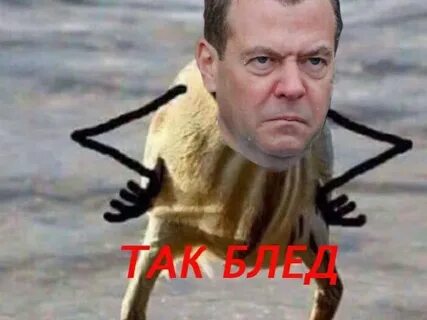 Дмитрию харе