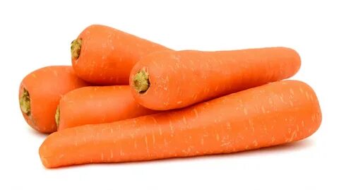 Кемпір порно видеода минет жасайды.