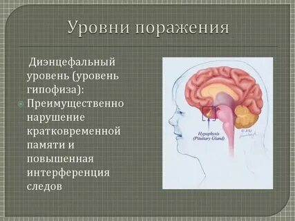 Дисфункции срединных структур у детей