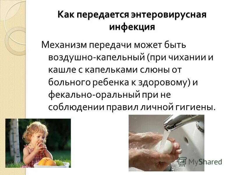 механизм передачи энтеровирусной инфекции