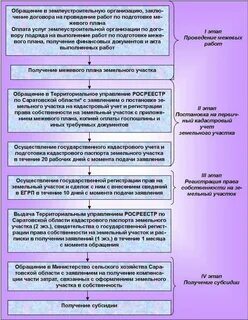 Сроки оформления земельного участка в собственность