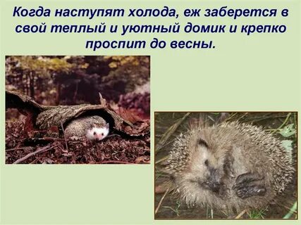 Страшный рассказ