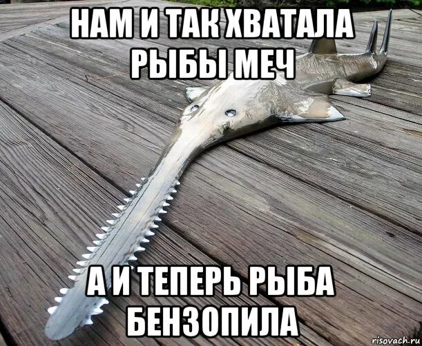 Мем рыба есть рыба. Рыба мем. мемы про рыб. рыба-пила. рыбы красивое мем.