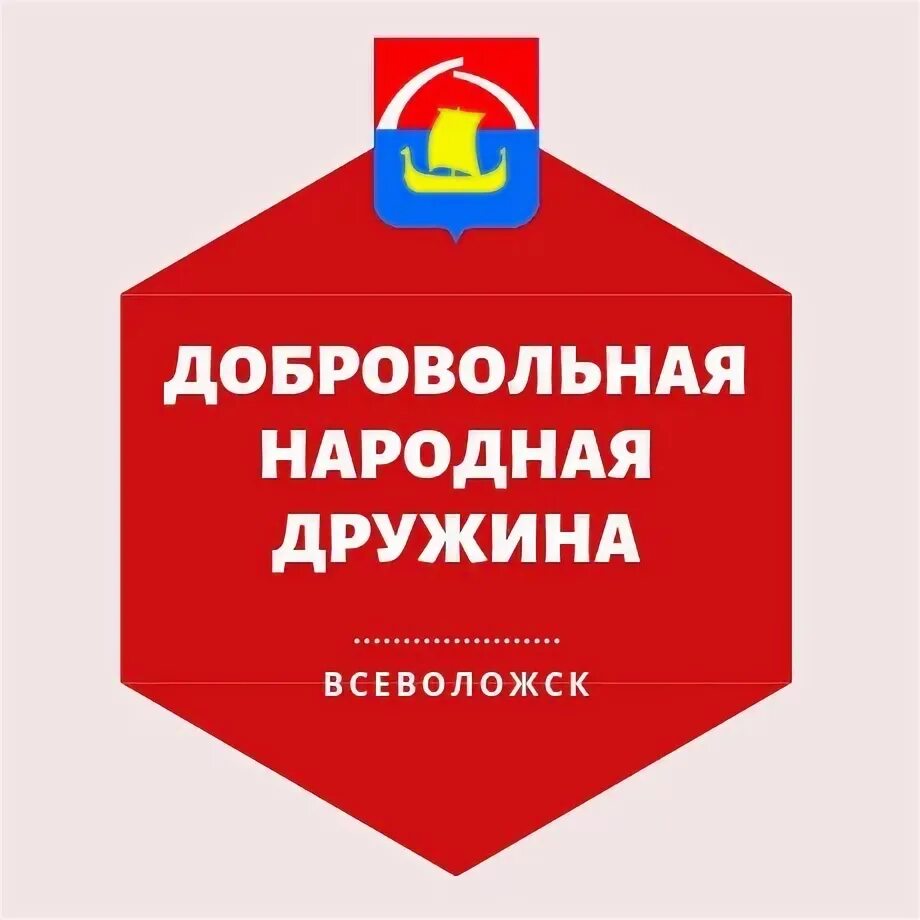 День добровольной народной дружины. Добровольная народная дружина. Добровольная народная дружина Всеволожск. ДНД Всеволожск. Печать народная дружина.