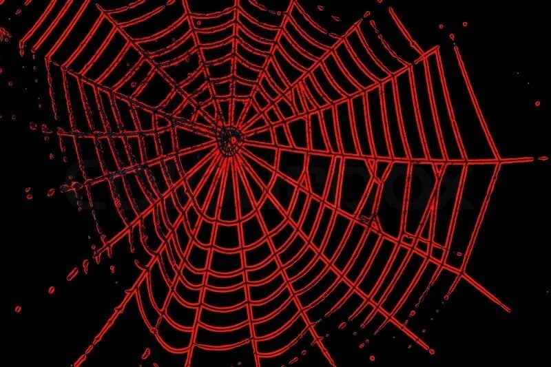 паутина на красном фоне. паутина в природе. паутина человека паука. паутина. паутина.