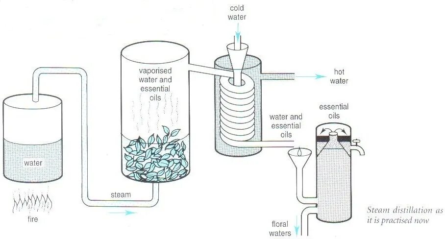 Хелло дистиллер. Steam distillation of Essential Oils. Ручная дистилляция воды. Хелло Дистиллер автоматика.