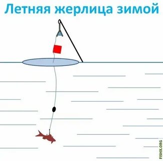 Как ловить на жерлицу летом