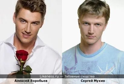 Похожие на воробьева