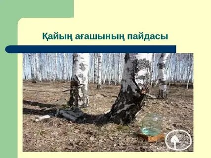 Жас аққұбамен нәзік секс