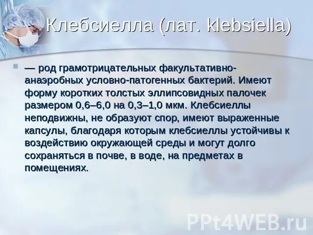 Клебсиелла в год. Клебсиелла грамотрицательная. условно патогенные клебсиелла.