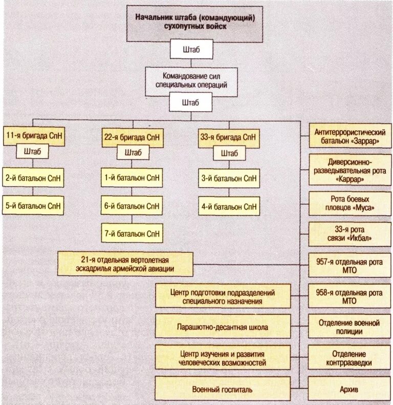 Организационно штатная структура ссо рф. Силы специальных операций состав. Структура вооруженных сил украины. Структура сил специальных операций россии. Организационно штатная структура ссо рф.