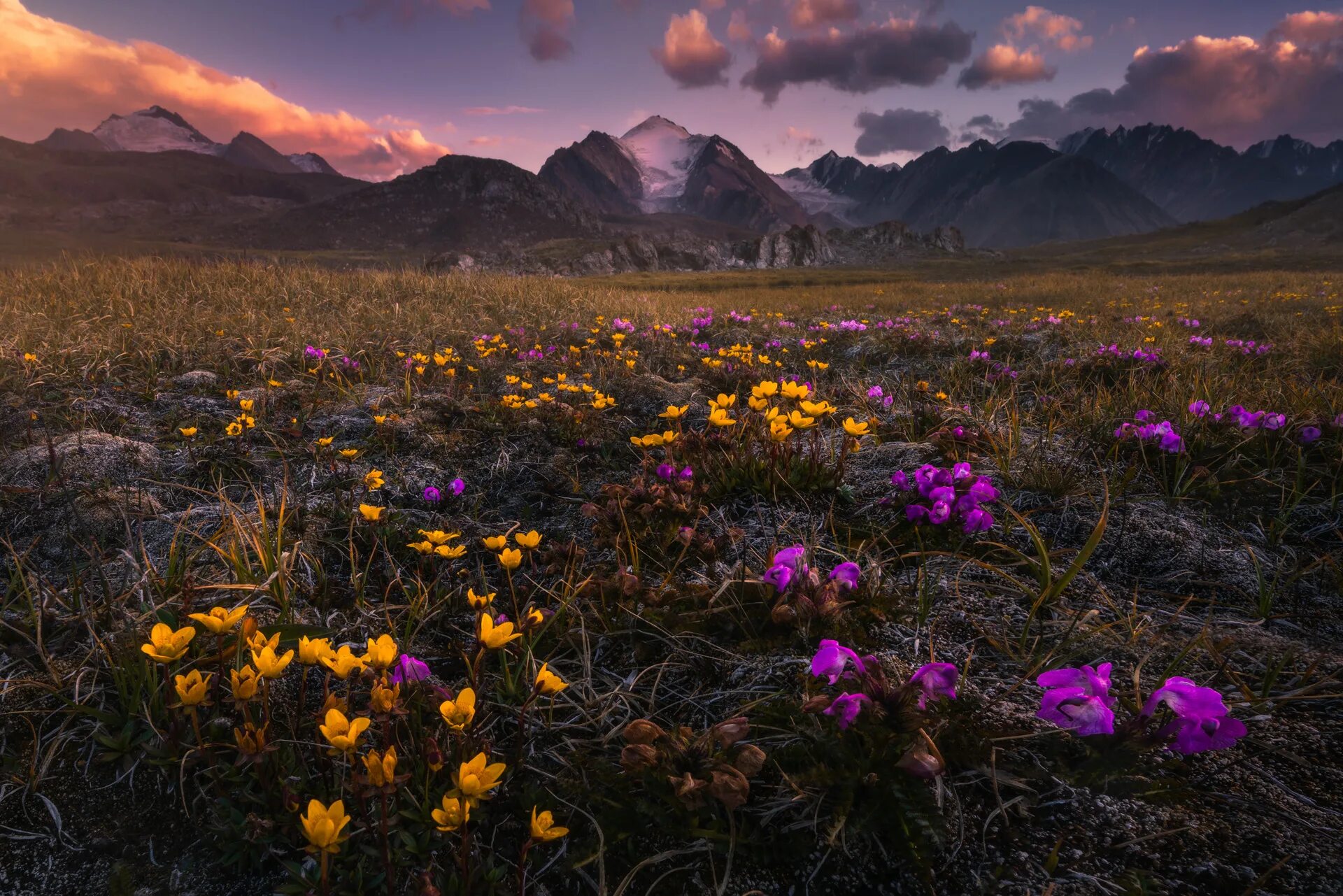 Евразия фотографии. Пейзаж Кыргызстана. Евразия пейзаж.