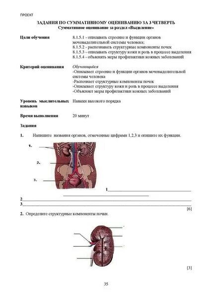 Соч по биологии 11 класс 3 четверть. Сор по биологии ,9 класс 3 четверть. Сор по биологии за 3 четверть 9 класс. Биология 7 класс сор и соч. Сор биология 10 класс 3 четверть.