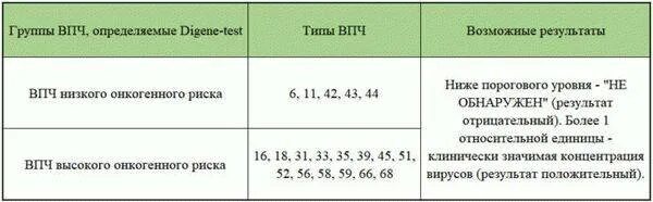Вирус папилломы человека 45 52. Анализ на впч 16 и 18. Hpv 33 днк положительный у женщины. Пцр впч 16 18 что это. Вирус папилломы человека 45 52.