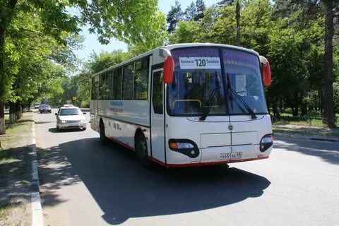 Автобусы тамбов 2024