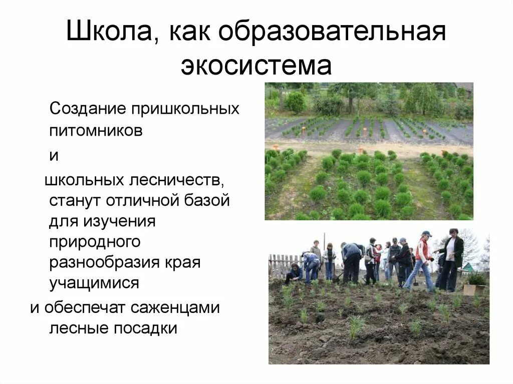 Что такое социальная экосистема в образовательном процессе. Образовательная экосистема. школа как экосистема. образовательная экосистема современной школы. образовательная экосистема пример.