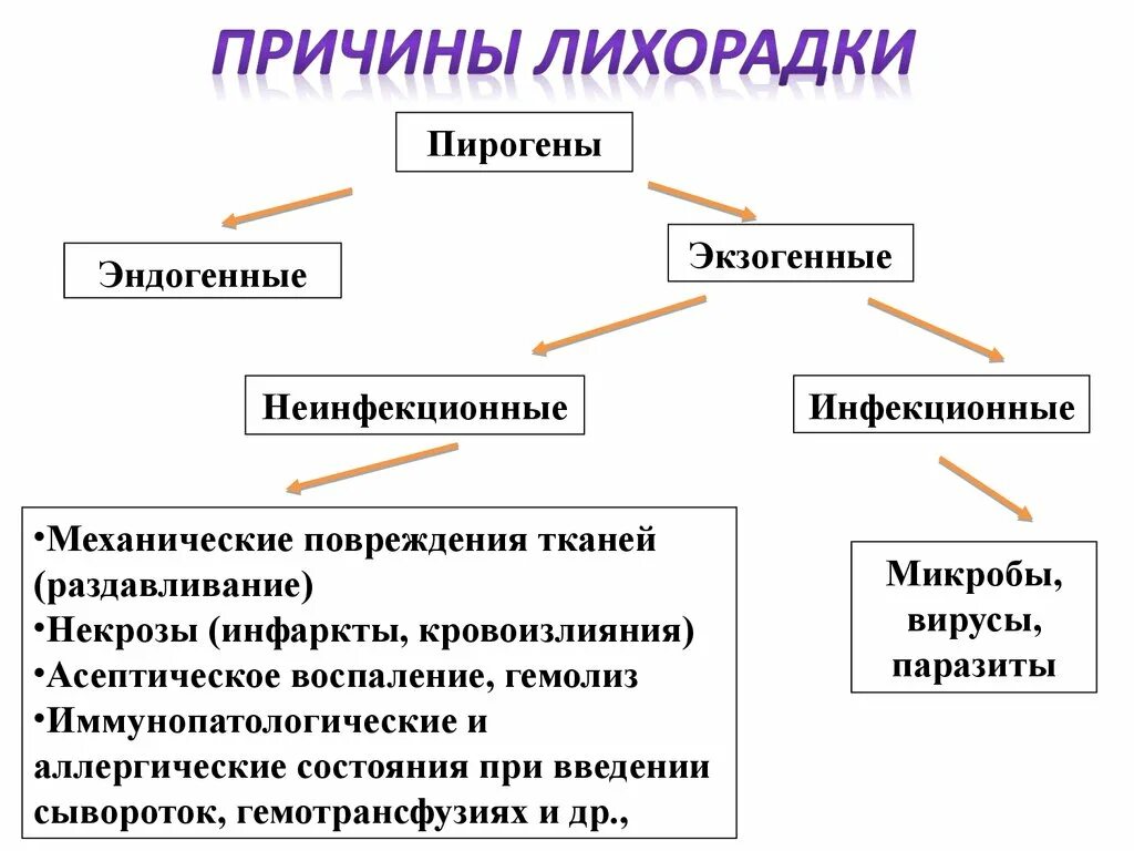 Причины возникновения лихорадки. Эндогенные причины лихорадки. Экзогенные причины лихорадки. Экзогенные неинфекционные причины лихорадки. Сохраняющиеся лихорадка