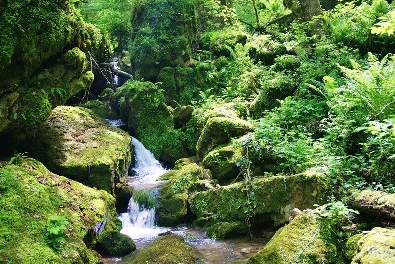 Водопады реки Куба Апшеронский. Водопады на реке Куба Апшеронский район. Река Куба Краснодарский. Река Куба Апшеронский район фото.