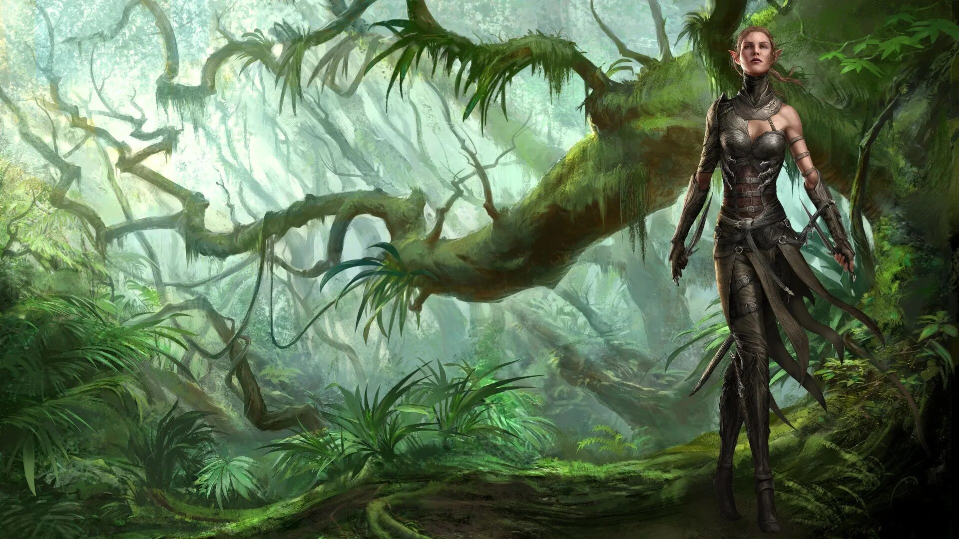 Divinity эльфы. Divinity original sin 2 сибилла арт. divinity original sin 2 арт. divinity original sin 2 эльфы. divinity original sin эльфы.