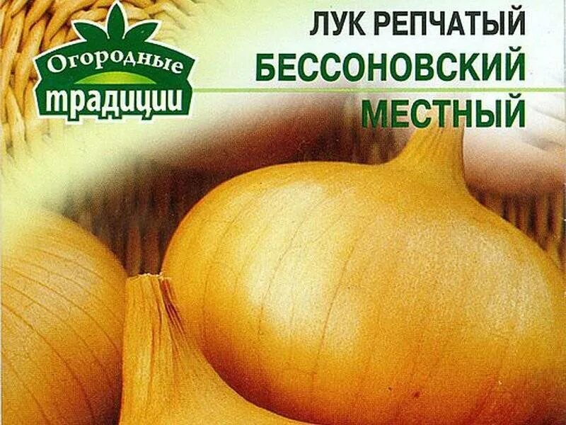 Лук севок Бессоновский. Лук репчатый Бессоновский местный.