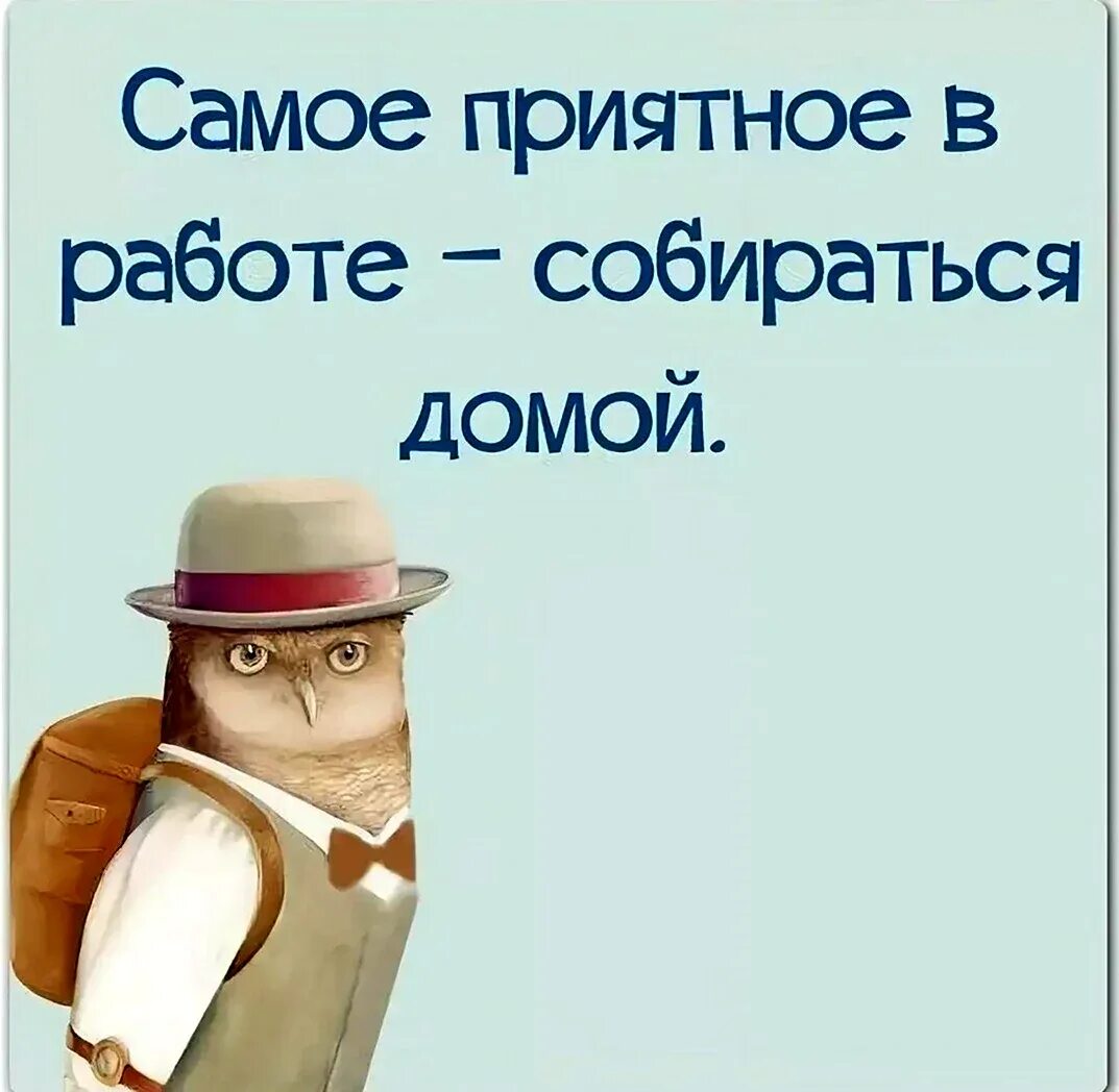 Картинка про работу прикольная с надписью. Смешные фразы про работу. Прикольные цитаты про работу. Работа цитаты юмор. Прикольные высказывания про работу.