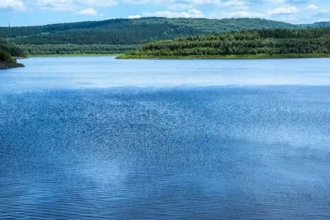 Пресные водные объекты