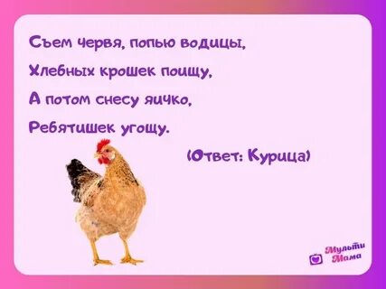 Ах какая умница курица была