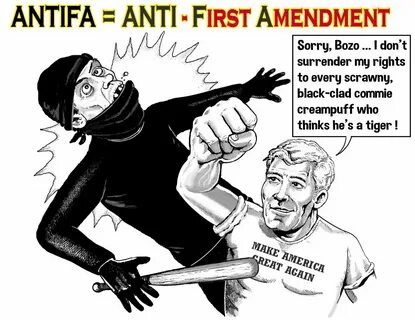 Who fought against whom