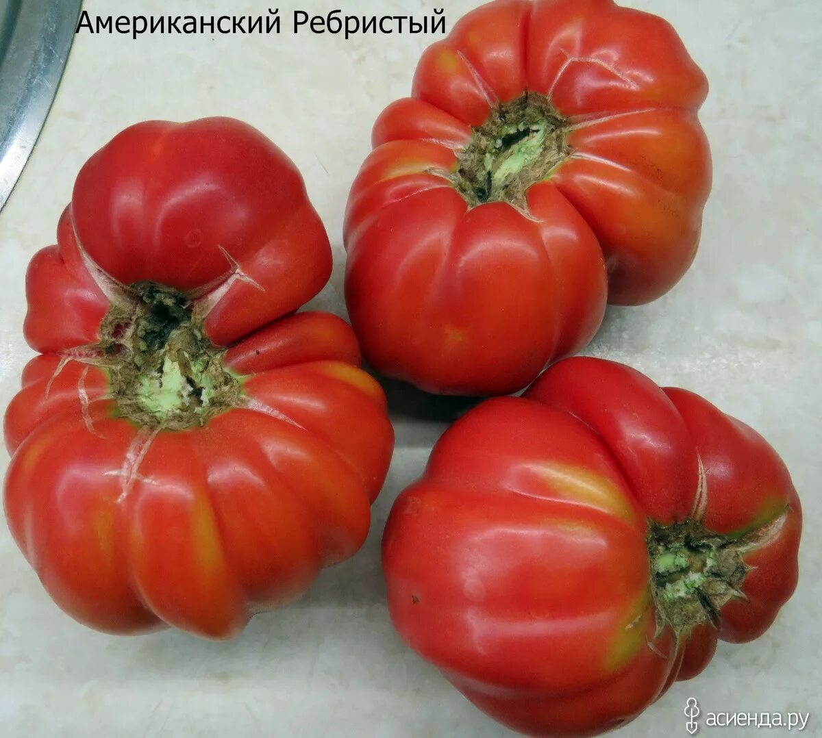 Томат америка сорт. Томат американский ребристый. томат американский ребристый красный. сорт томата американский ребристый. томат американка.