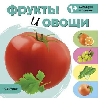 Овощ словарь