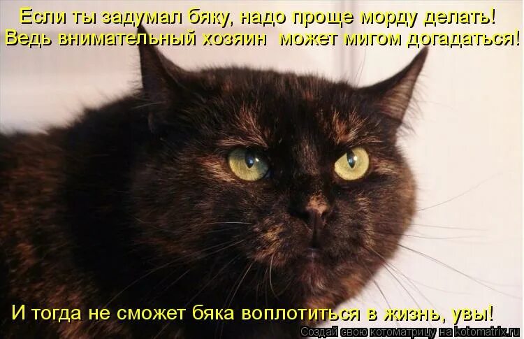 неизбежность. мемы про выпить. надежда румянцева тося кислицына. смешные картинки. не нужно а уж тем.