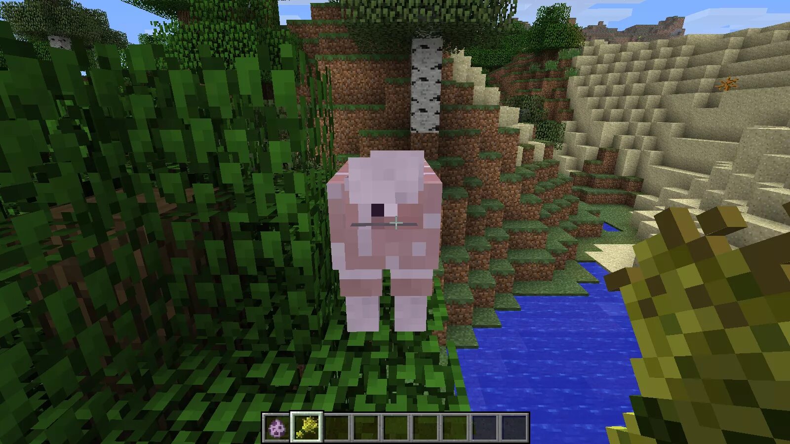 Entity client minecraft