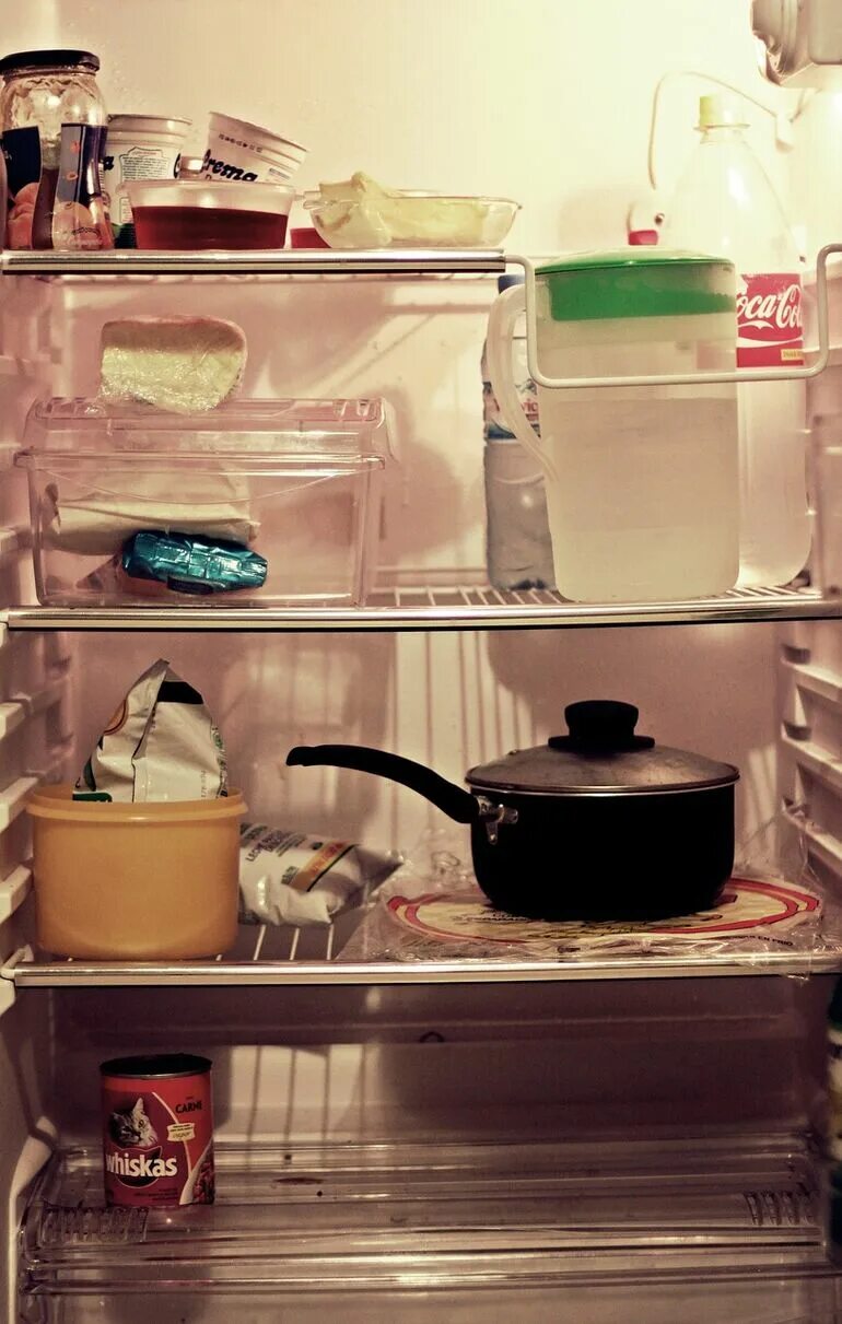 Можно горячий суп ставить в холодильник. Холодильник с едой. Холодильник с продуктами. Холодильник внутри. Открытый холодильник с едой.