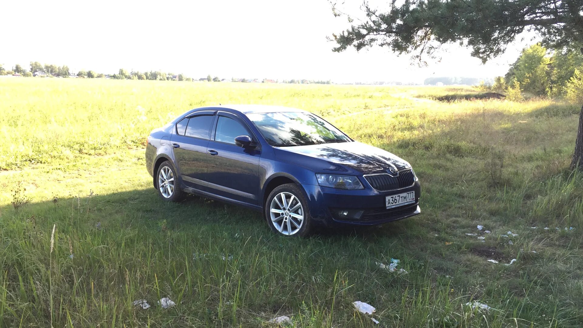 Skoda a7 Blue Storm. Blue Storm Octavia a7.