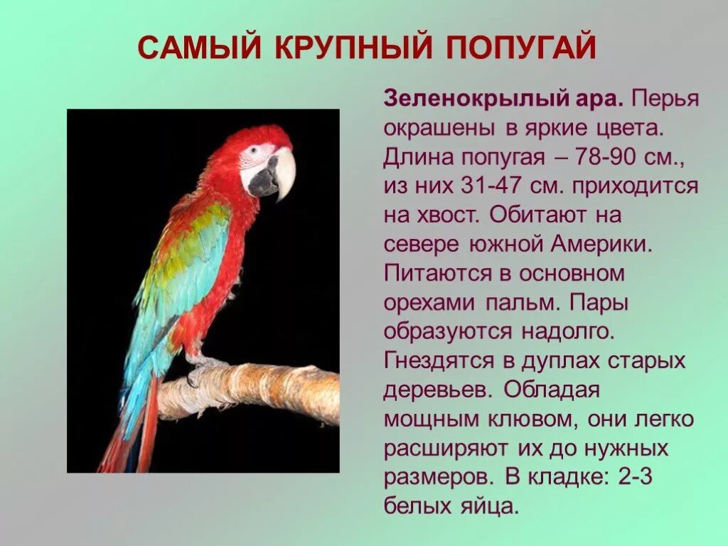 Как найти ары