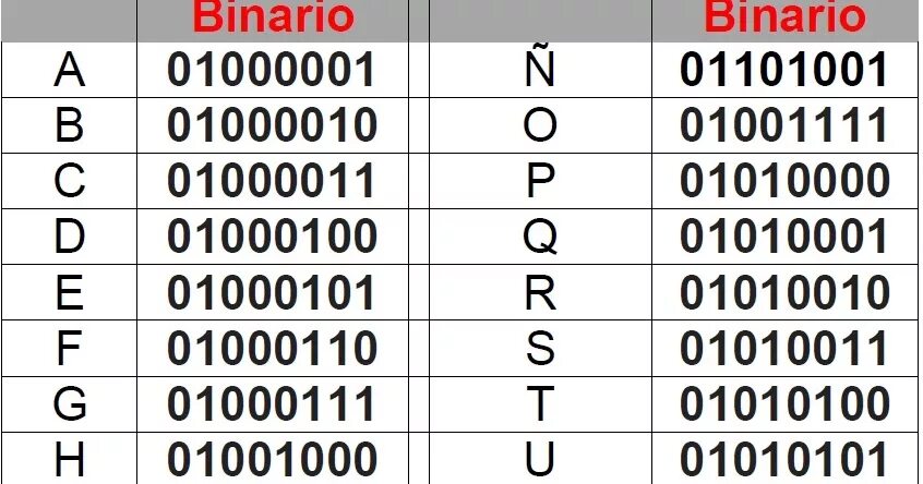 T me binarios mx польша
