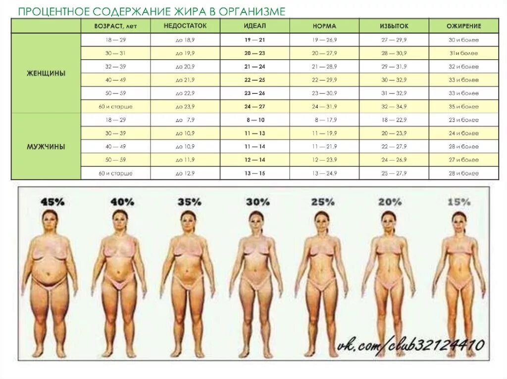 Норма жира в организме мужчины. Нормальный процент жира в организме женщины. Процентное содержание жира в организме мужчины норма. Норма процента жира в организме женщины. Норма жировой массы у мужчин в процентах.