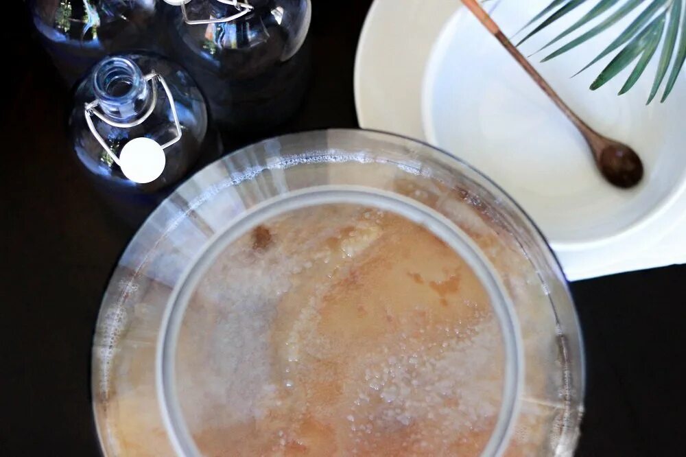 Kombucha cream. Kombucha essence. vegan kombucha крем. комбуча эмульсия. комбуча для лица.