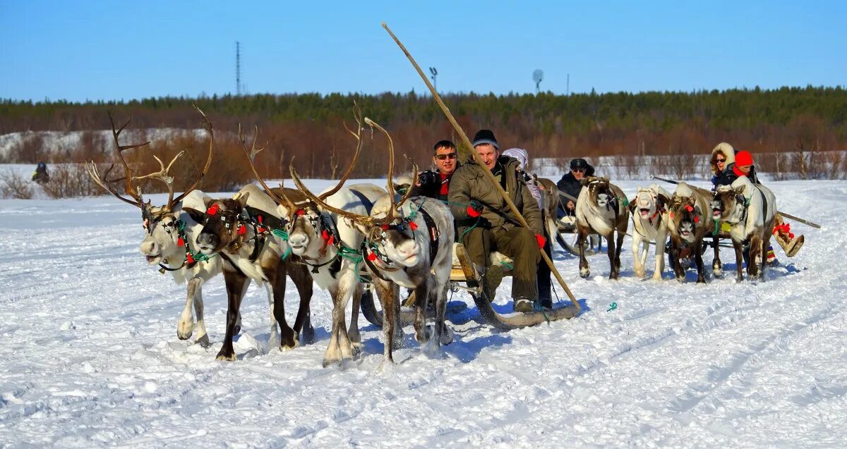 Село Ловозеро Мурманская область. Ловозеро Саамская деревня. Ловозеро Мурманск. Ловозеро (село).