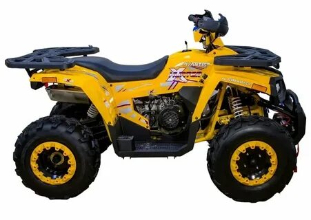 Avantis 200 big lux