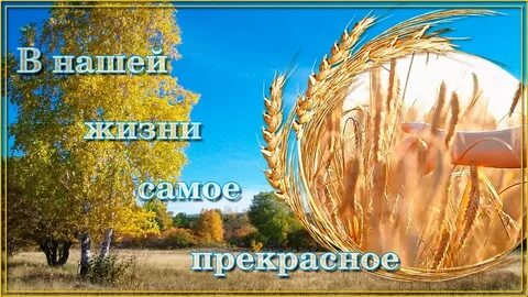 Не ценою денег покупается