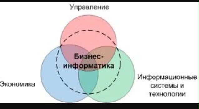 Экономика бизнес информатика