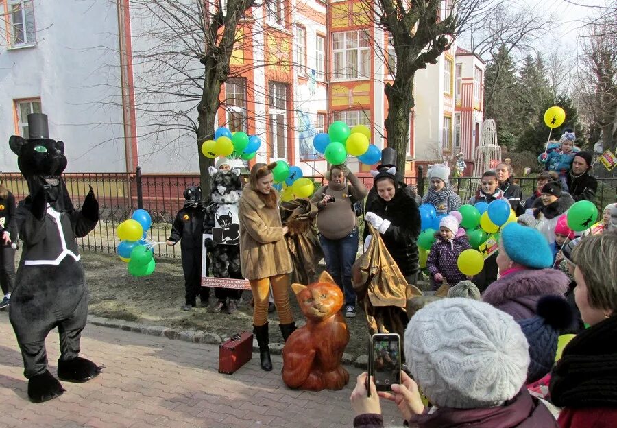 Фестиваль «день рождения Зеленоградского кота». День рождения Зеленоградского кота в Зеленоградске. День зеленогоградского кота. Праздник котов в Зеленоградске. День зеленоградского кота