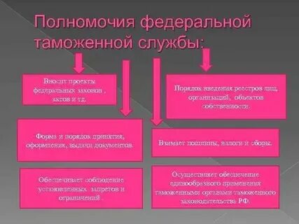 Федеральная таможенная служба финансовые полномочия