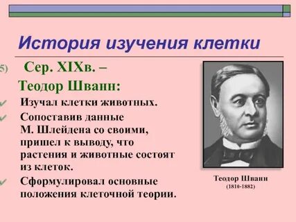 История изучения жизни