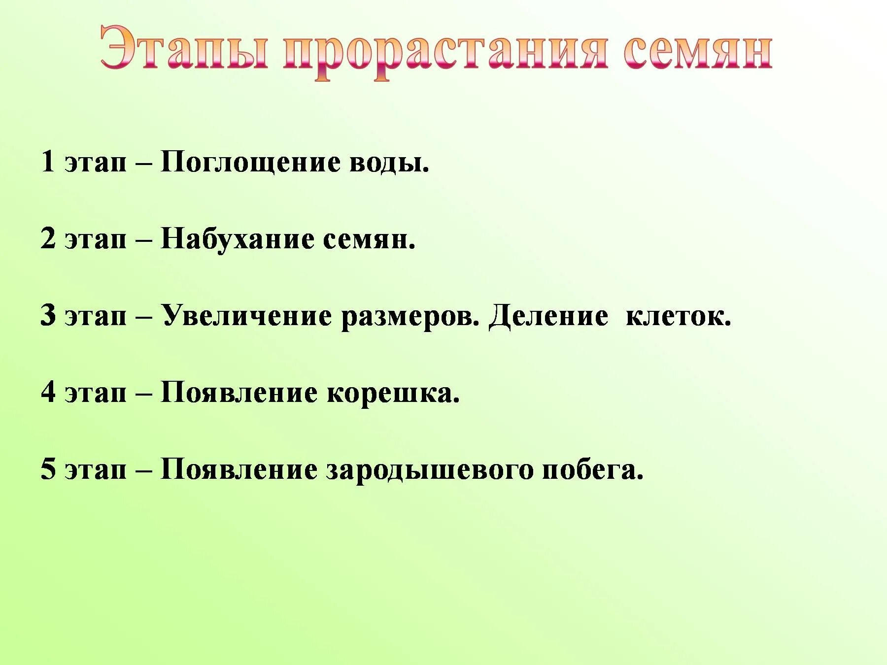 С чего начинается прорастание семени и почему. Порядок фаз прорастания семян. Фазы прорастания семян 6 класс. Этапы прорастания семян 6 класс биология. Стадии прорастания семян этапы.